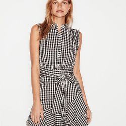 Express Gingham Dress