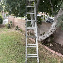 Ladder