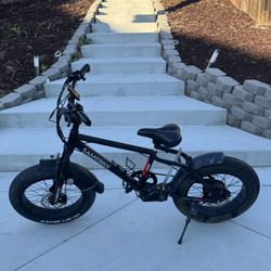 Samebike Electric Bike