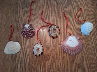 $2 Each: Seashell Ornaments