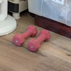 3Lb. Hand Weights