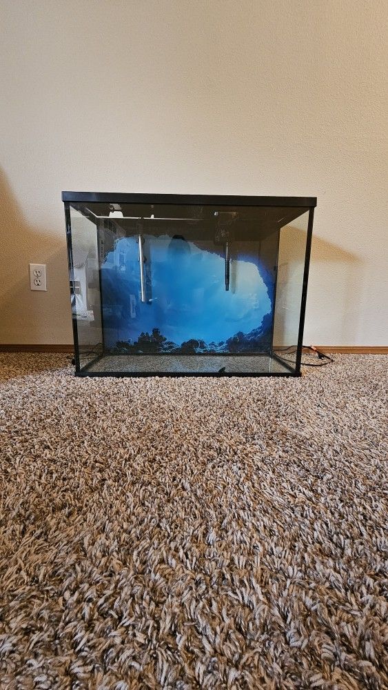 Fish Tank