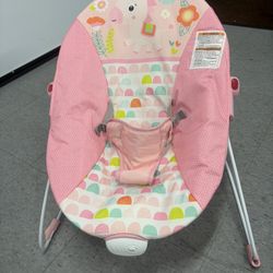 Baby Bouncer