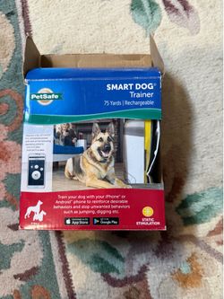 Smart dog trainer