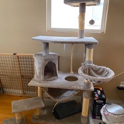 Kitty Tower, Kinda New OBO