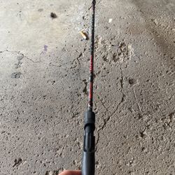 Abu Garcia Vendetta Casting Rod