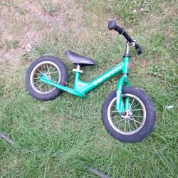 Schwinn 12 Inch  Push Bike