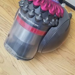 Only CANIESTER DYSON  WITH HOSE  ,  WORKS EXCELLENT    $45