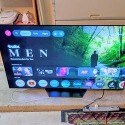 65 Inch LG OLED Smart Tv With Remote 