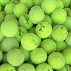 Tennis Balls - Used - Great For Dogs!