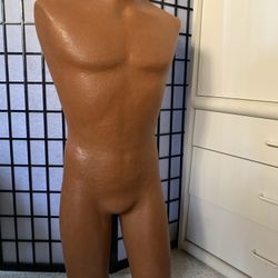  Torso mannequins    Special price for 10.00