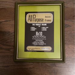 Nu-Dell Plastics 8x10 Vintage Frame 