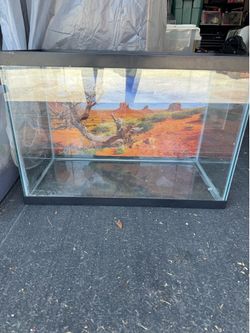Reptile tank 15 gallon