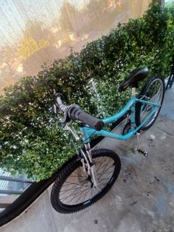 Infinity Backroads Bike