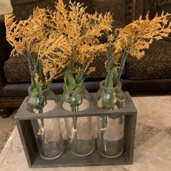 Plant propagation station
