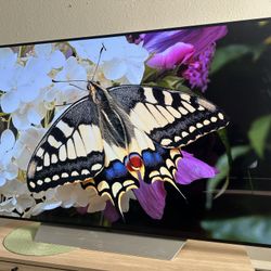 LG OLED 