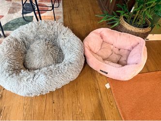 2 free dog beds