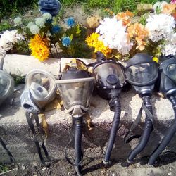 Set Of 6 MSA Gas Masks