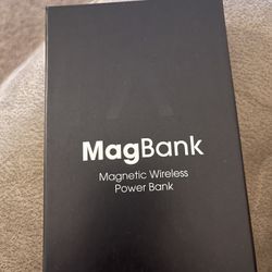 Magnetic Wireless Portable Charger