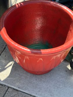 Masetas de para planta