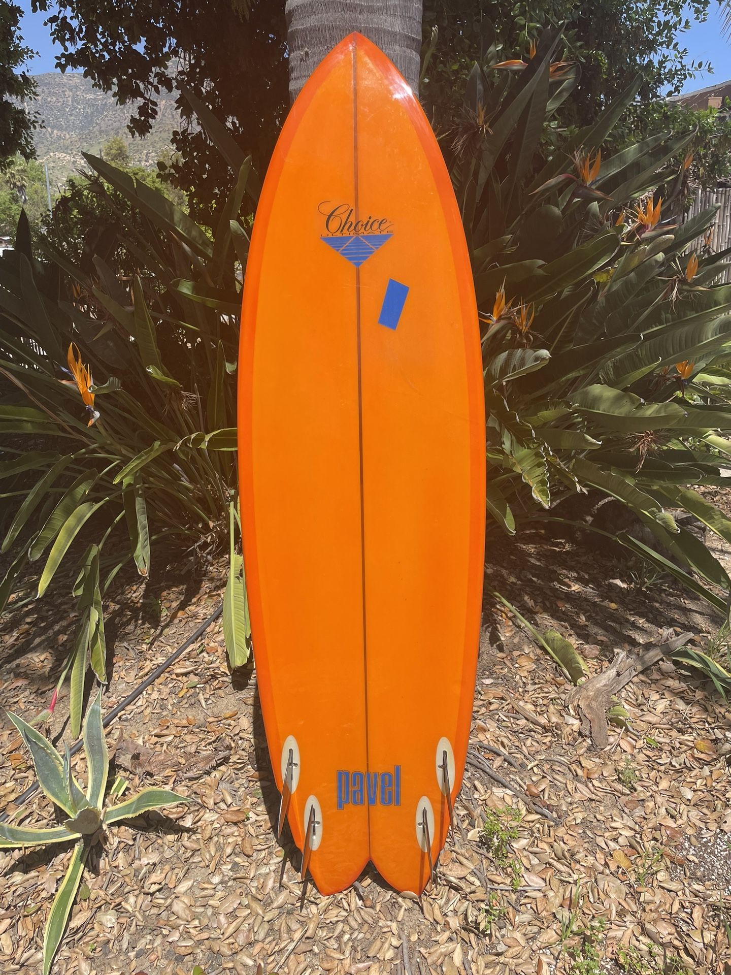 Pavel Speed Dialer　6’3 超貴重　超美品 Pavel Speed Dialer6'3 超貴重超美品