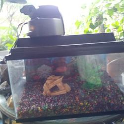 10 Gallon Aquarium