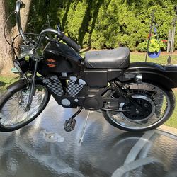 Kids Harley Davidson Bicycle