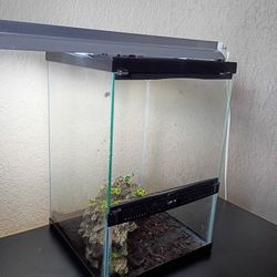 Reptile Tank