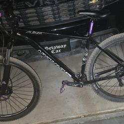 Eastern Alpaka 29er