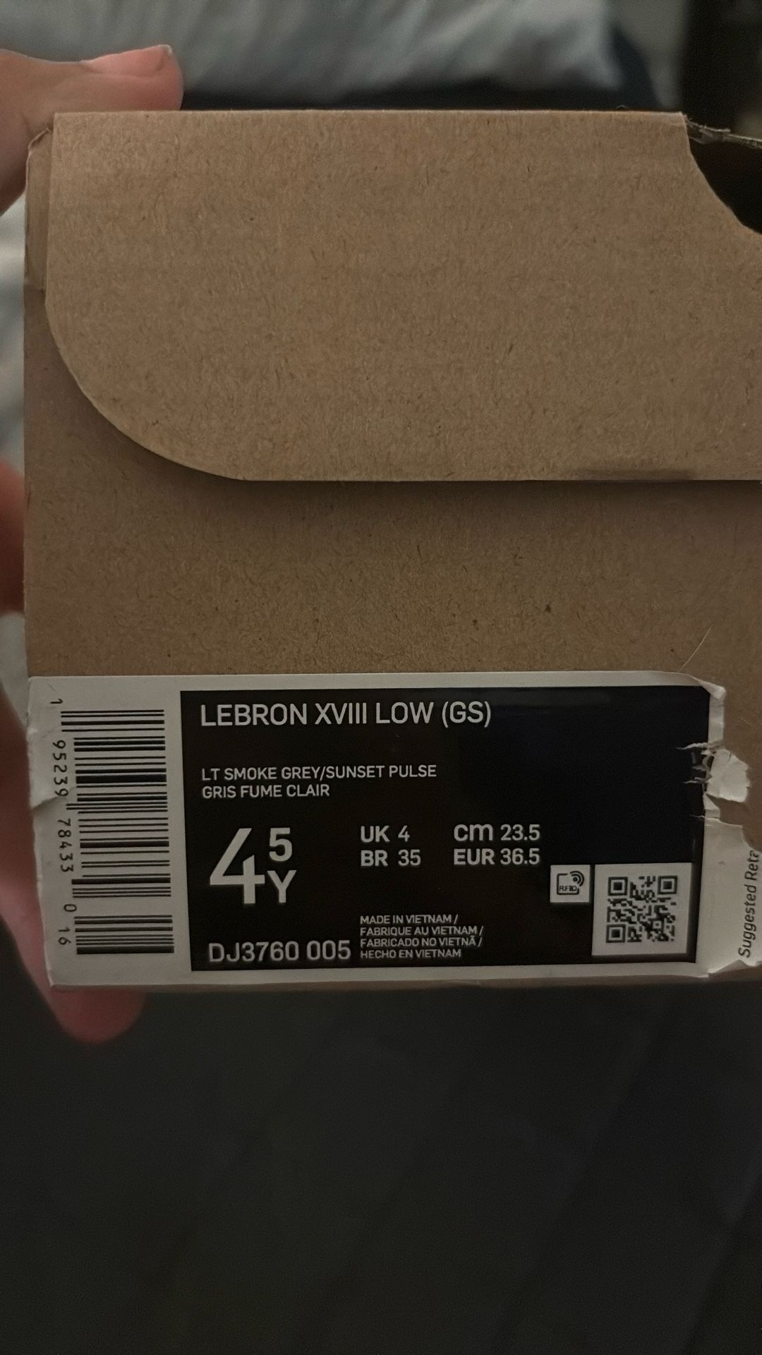 Lebron XVIII Low (GS) Bugs & Marvin