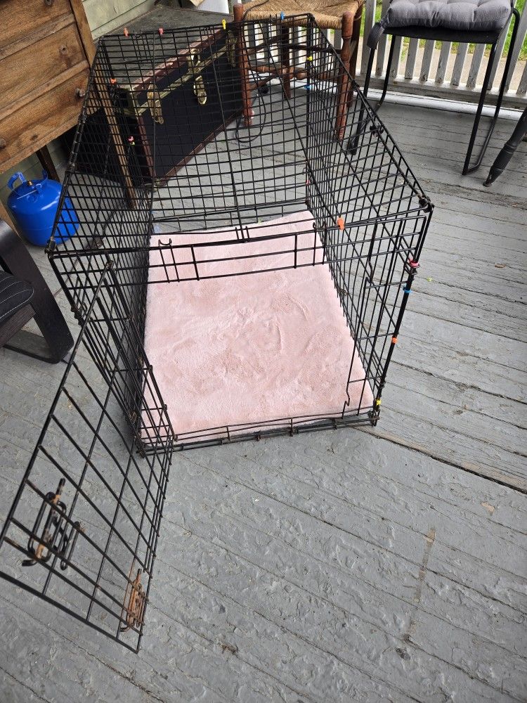 Dog Cage