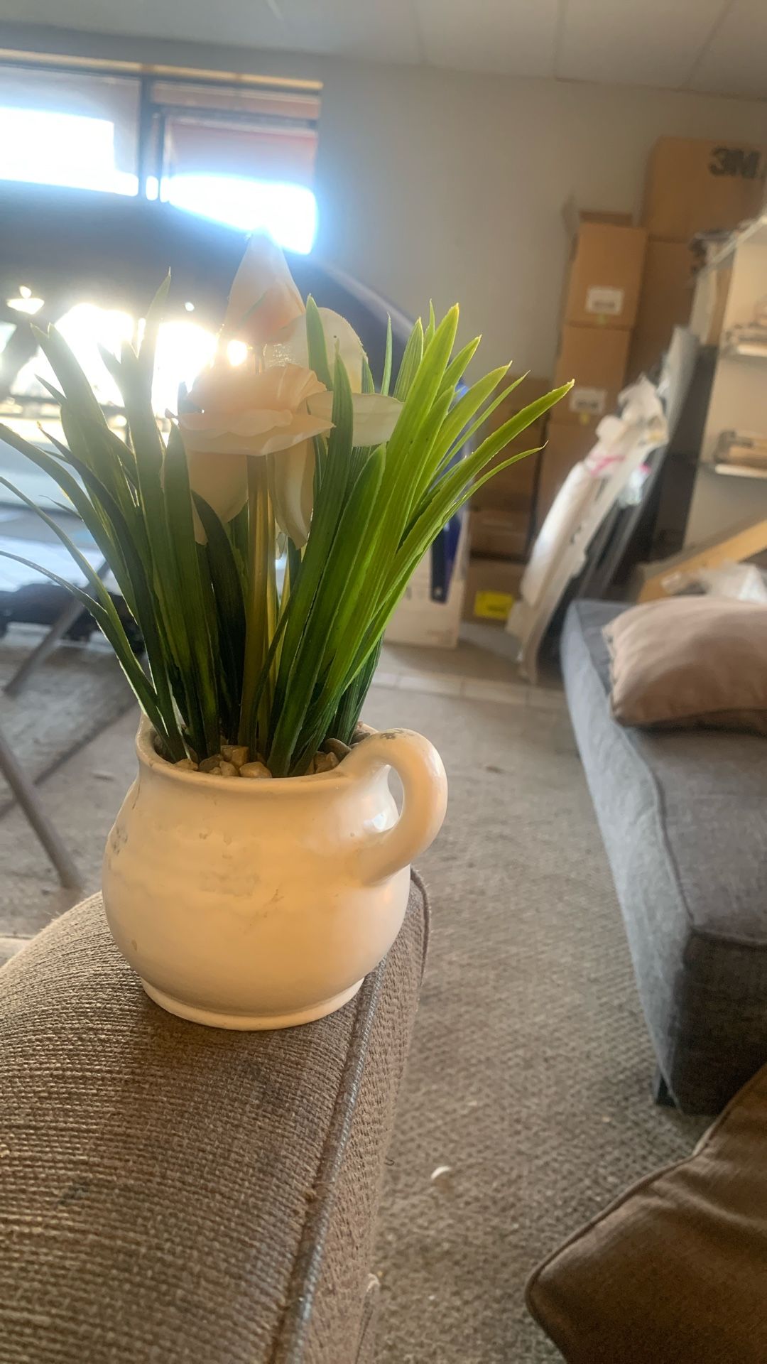 fake Plant original Price 10$ New Price 1$ From Target