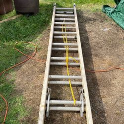 Werner Electro Master 20 Foot Fiberglass Ladder 