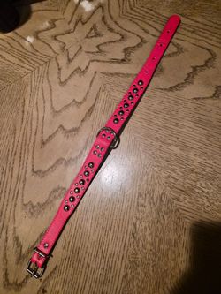 Medium Dog Collar