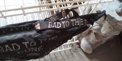 HARLEY DAVIDSON. DOGGY SET