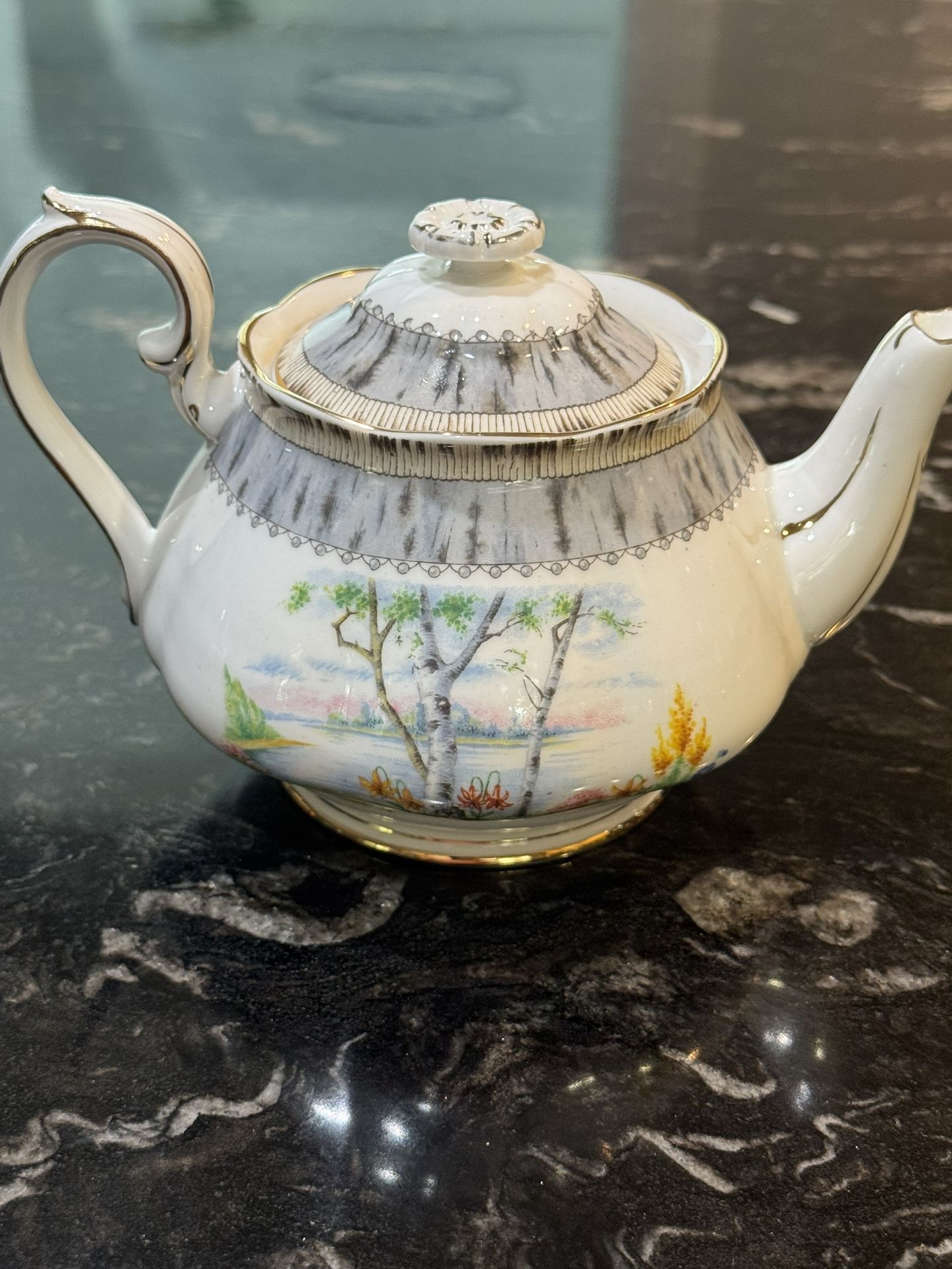 Royal Albert, Silver Birch, Made in England - Teapot, circa 1970's