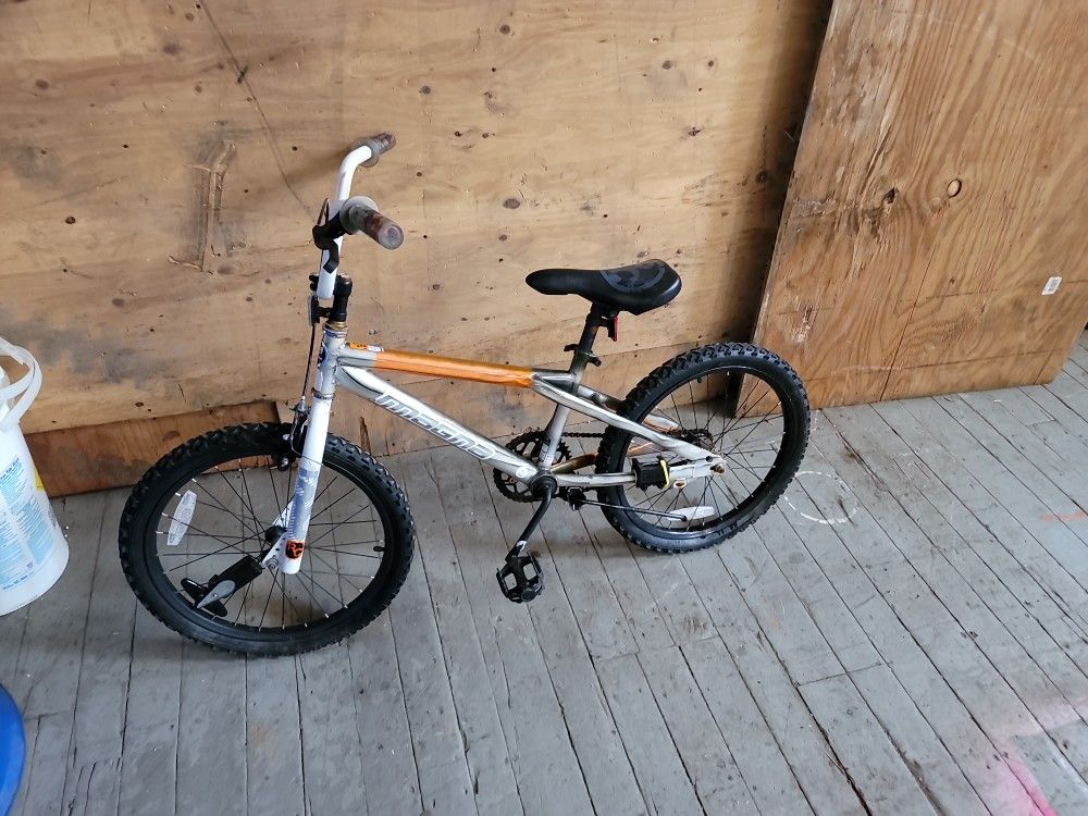 20" Magna Bike