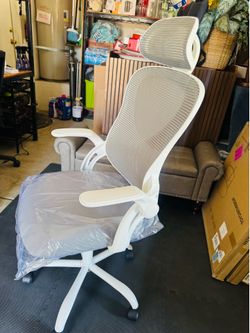 Mesh Ergonomic Office