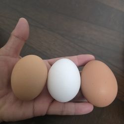 Fresh Farm Eggs - unwashed