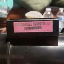 Rb25 Maf