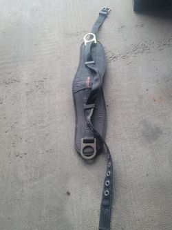 Harness