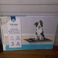 Puppy training Grass In Doors