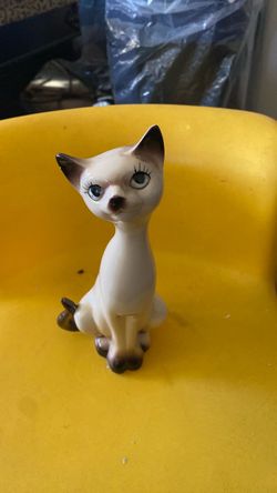 Beautiful Cat Brown and Beige
