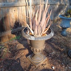 Beautiful Garden Planter With Succulent 