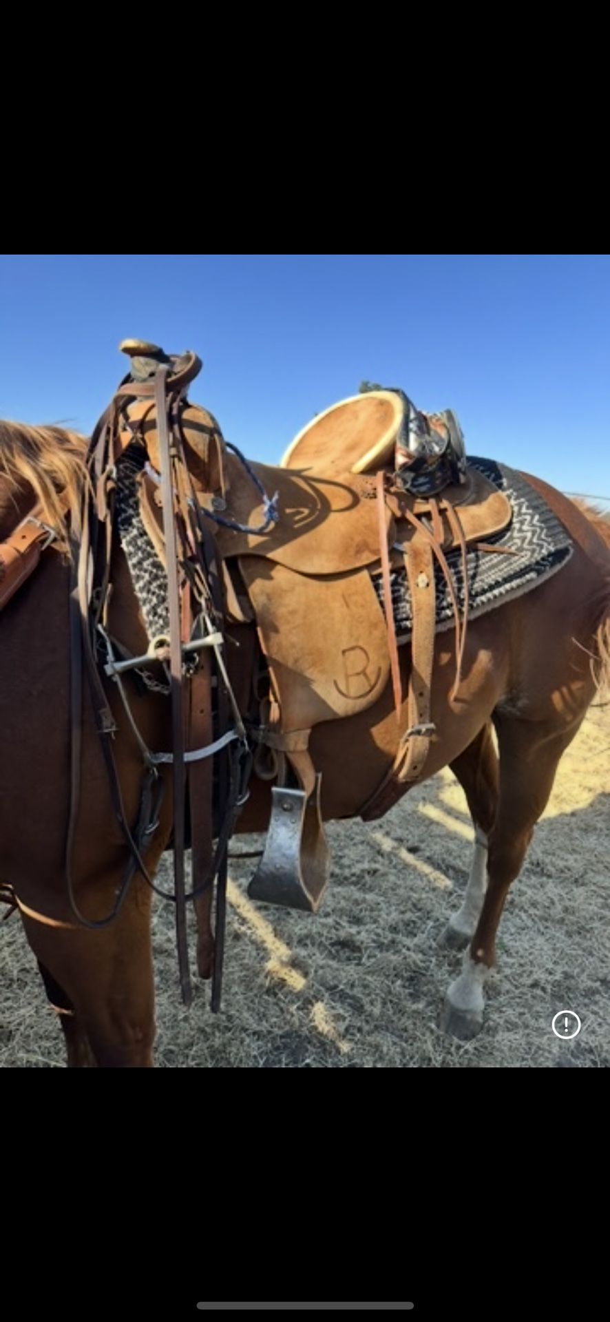 Roping Saddle