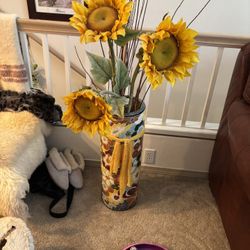 Sunflower Plant 