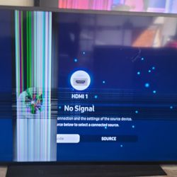 Samsung 55" Terrace Outdoor Television, Damaged Screen 