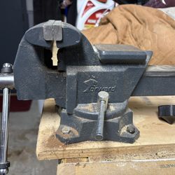 Bench Vise