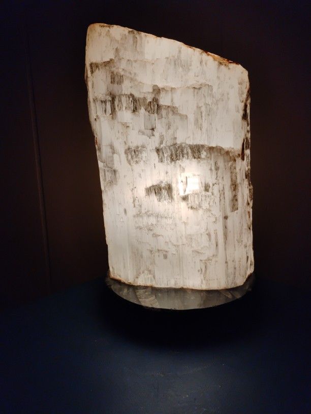 10 Inch Quartz Lamp
