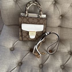 Mini Coach Purse 